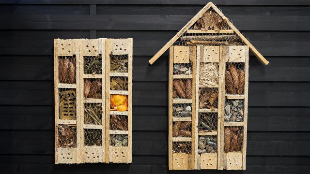 Insekthotel