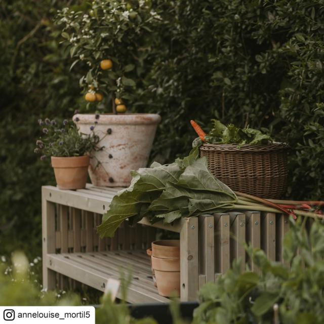 Rustik Trallebænk Design m/hylde - 138×49 cm - drivtømmerfarve