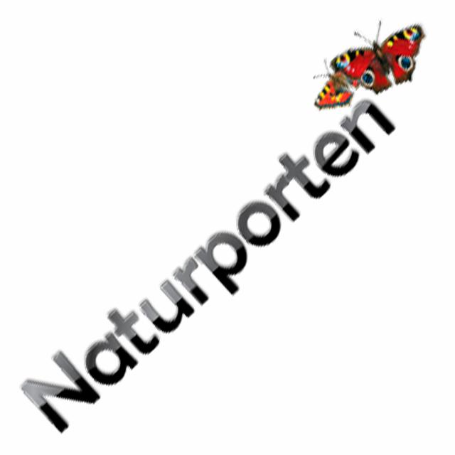 Møbler