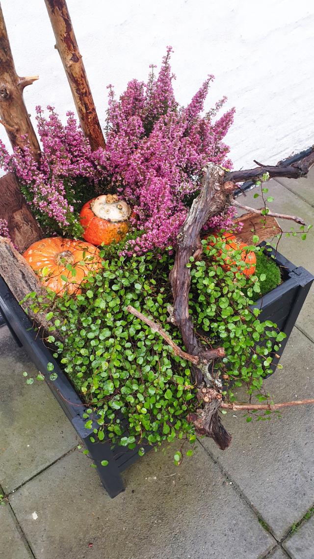 Leitfaden Winterdekoration Blumenkasten Ihrem - in