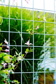 Migrated-961655-Dansk-7