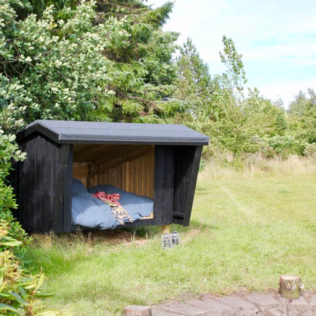 Shelter - unbehandeltes Holz