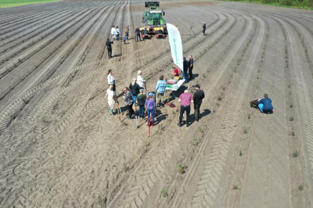 Vi bruker tre. Vi planter trær