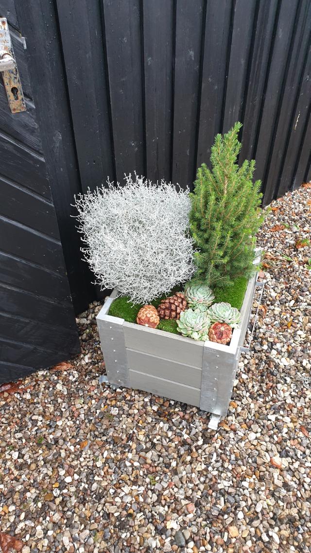 Guide - vinterdekoration i din blomsterkasse