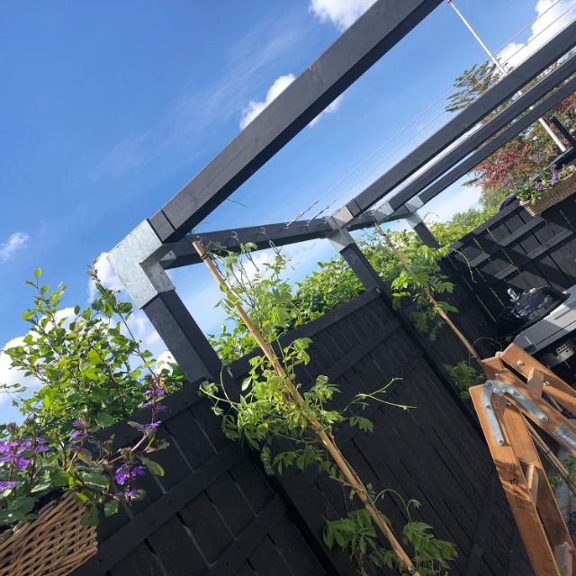 Byg en traditionel pergola med Cubic