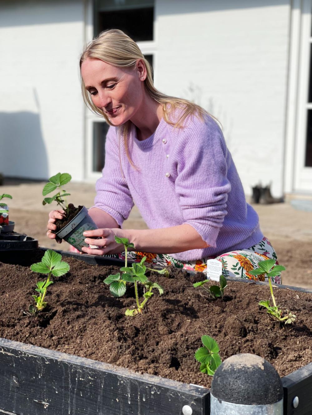 Nanna sætter jordbærplanter i sit Pipe højbed