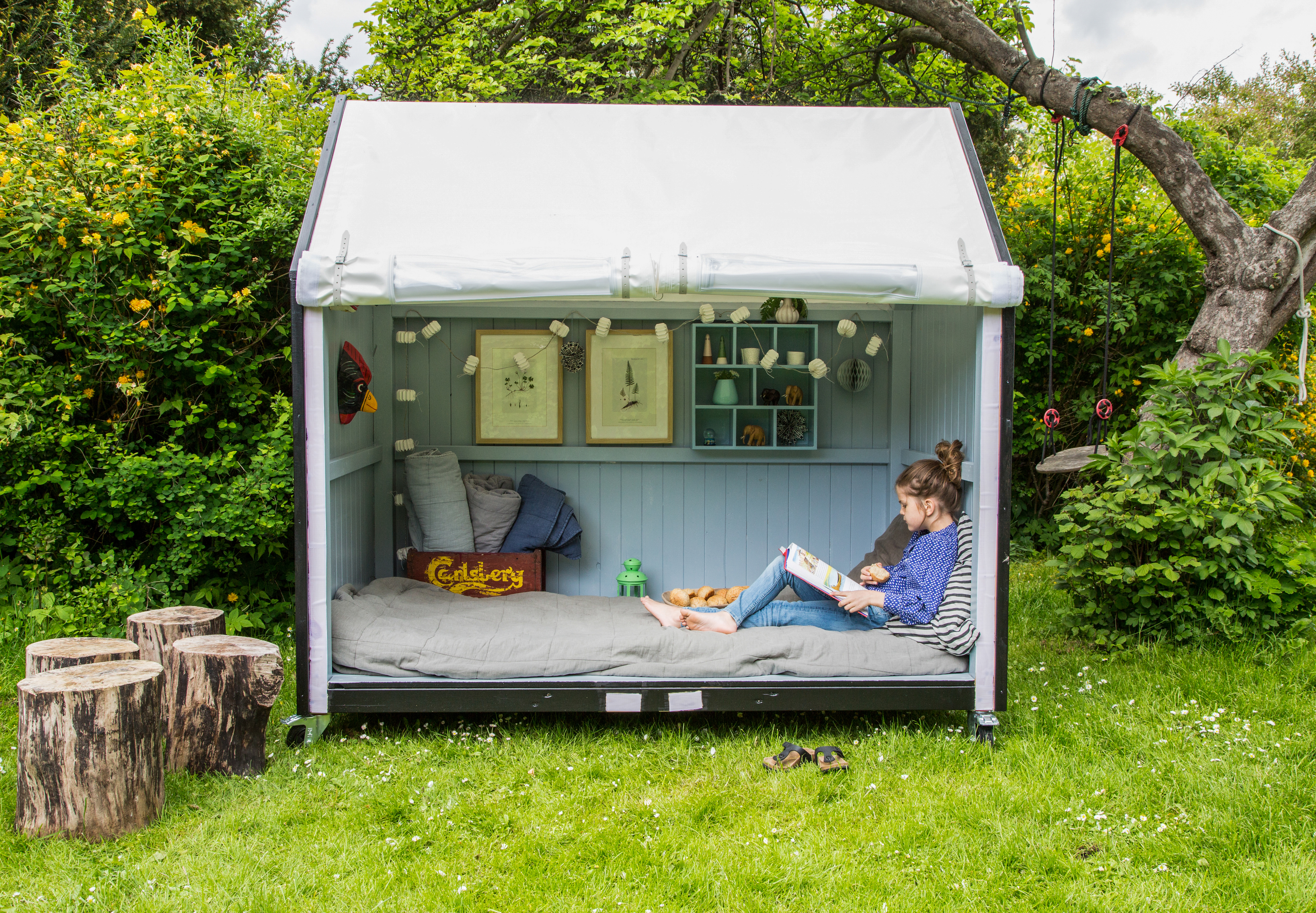 Shelter