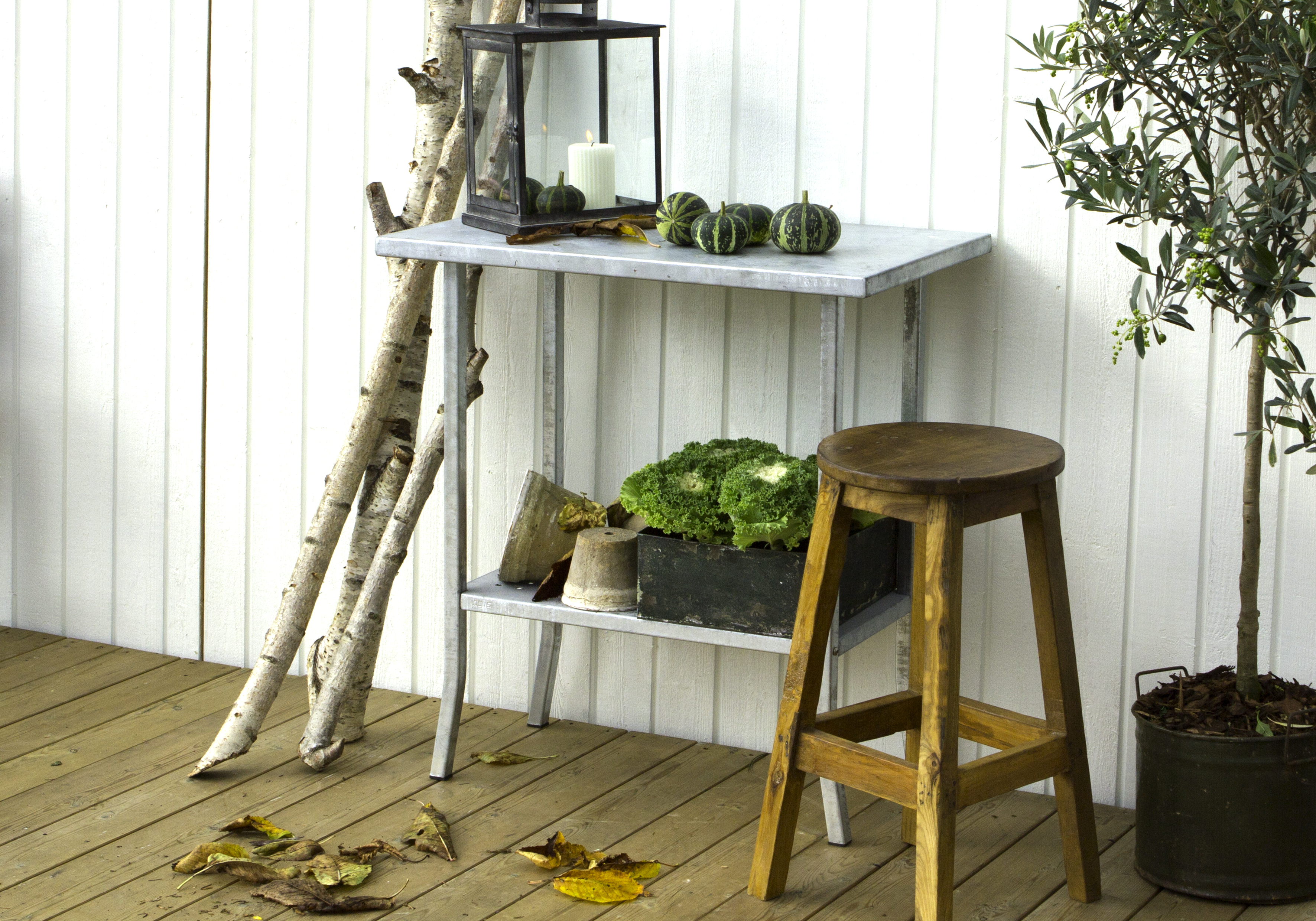 Plante-/Anretterborde