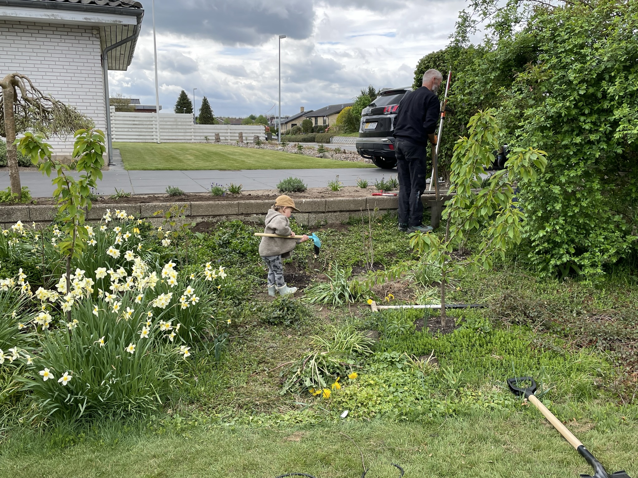 Hele familien hjælper til med opsætning af havehegn