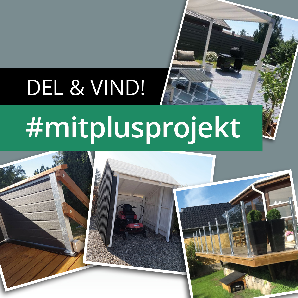Mitplusprojekt
